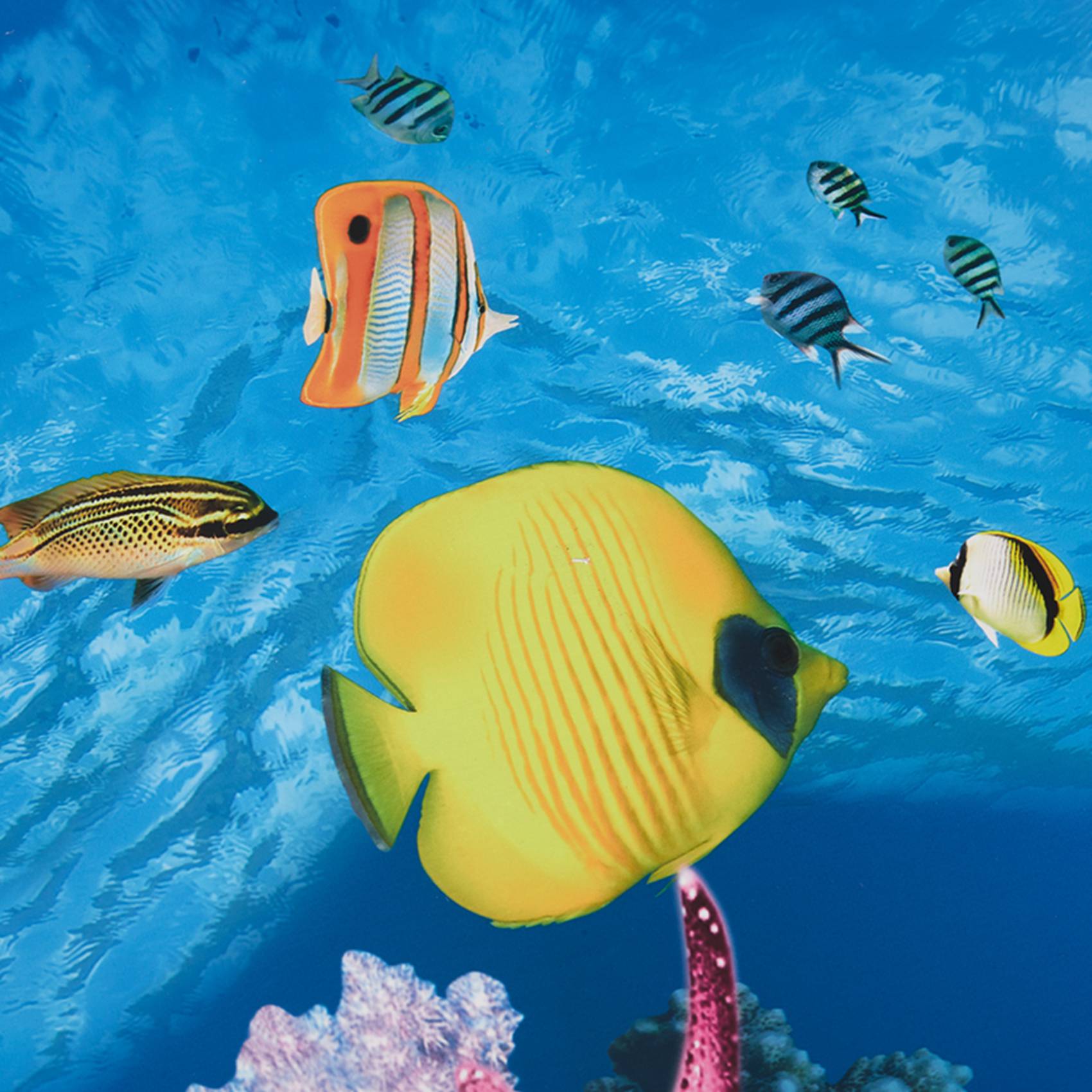 Fish In Aquarium Picture - BAAU حوض السمك ورق خلفية HD