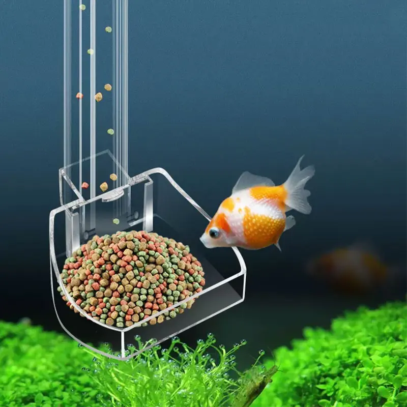 Aquarium Fish Variety - أنبوب تغذية أكريليك لحوض السمك، تصميم