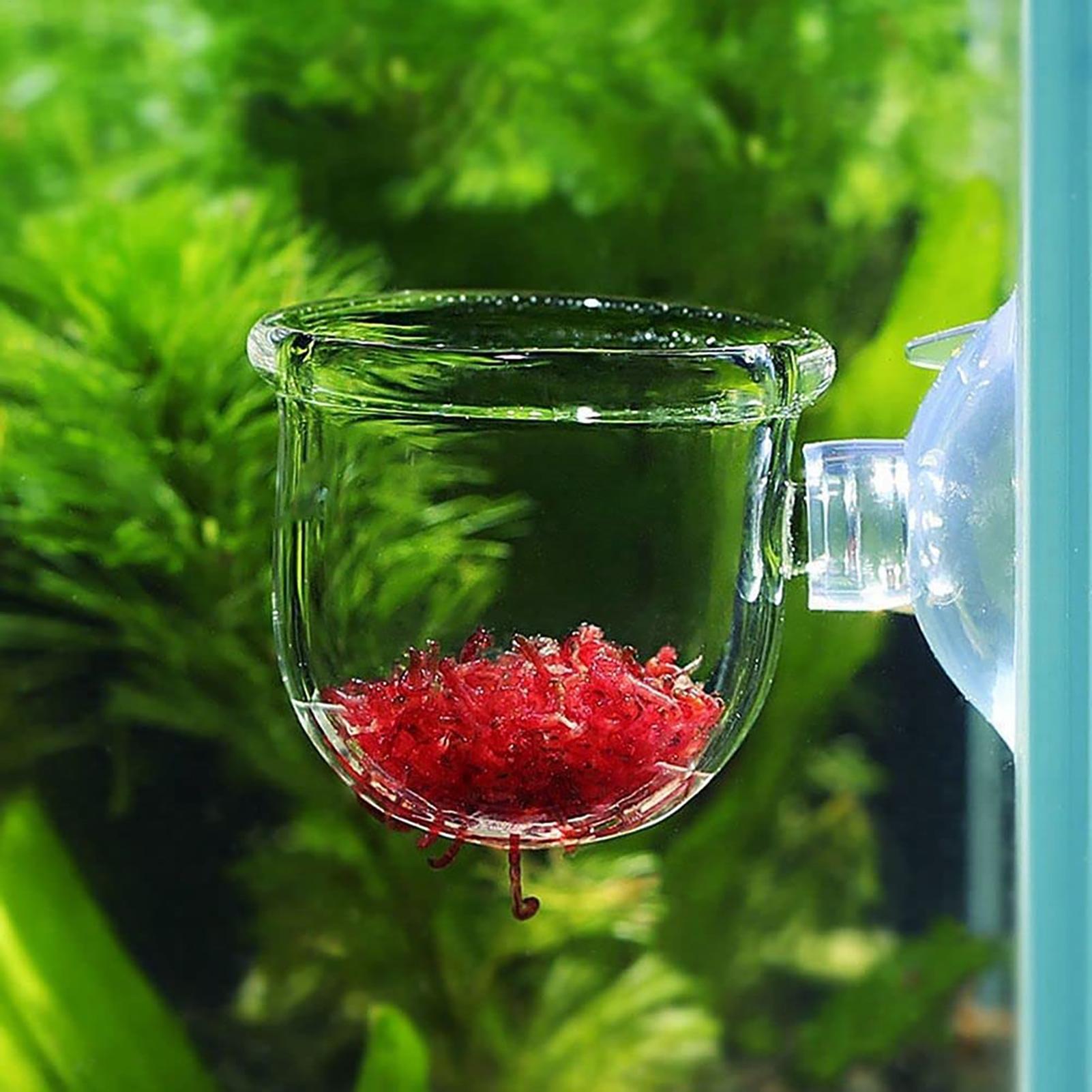 Aquarium Fish Beautiful - حامل نباتات لحوض السمك من الأكريليك