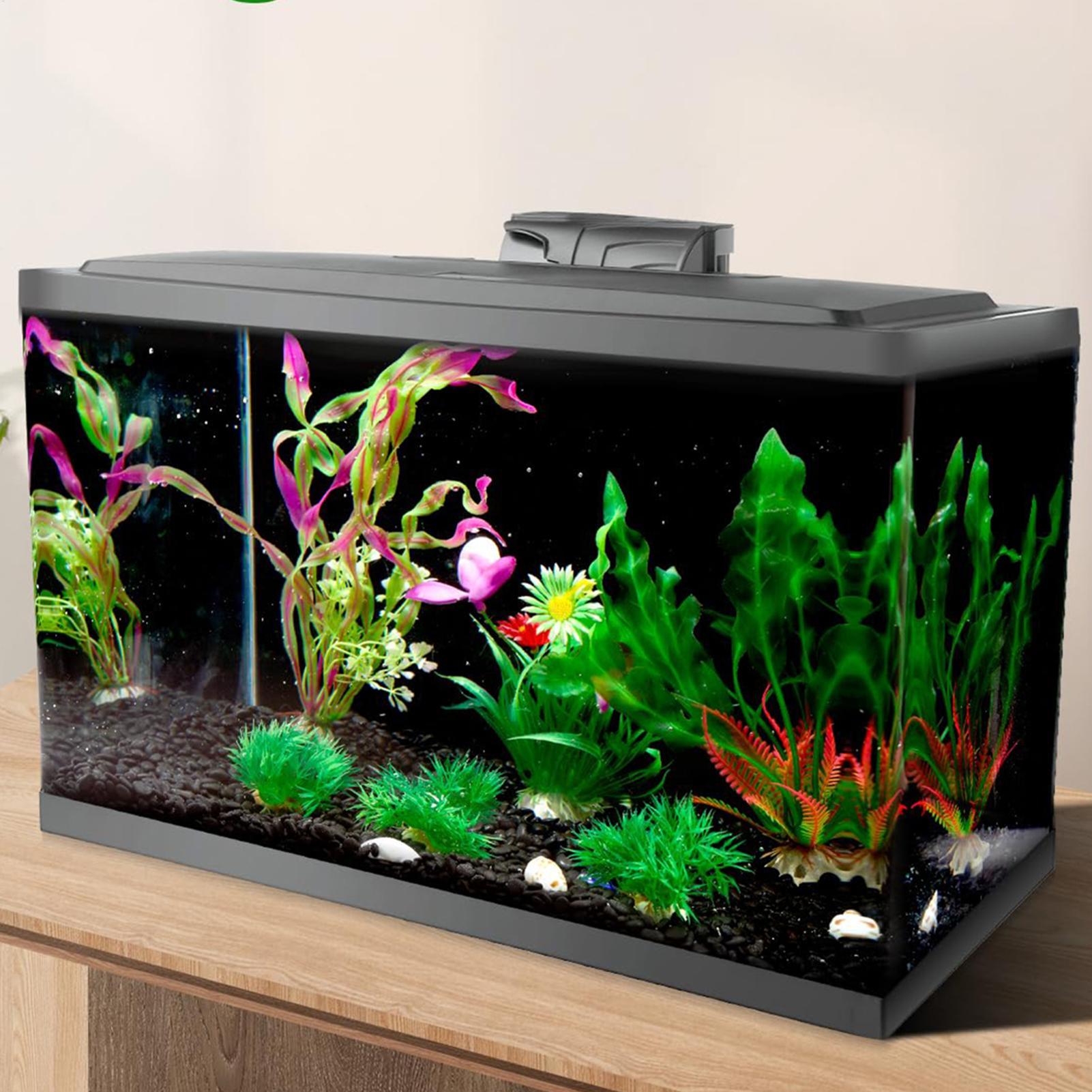 Fish In Aquarium Picture - خلفية حوض السمك السوداء، ورق جدران