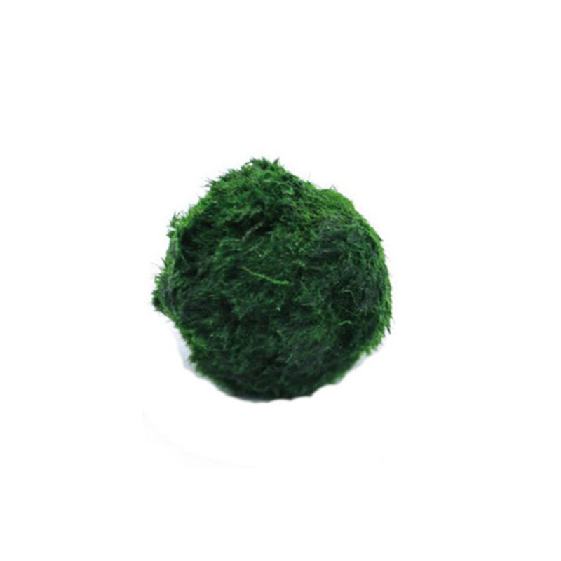 Aquarium Fish Green - ماريمو كرات الطحلب حوض السمك نبات