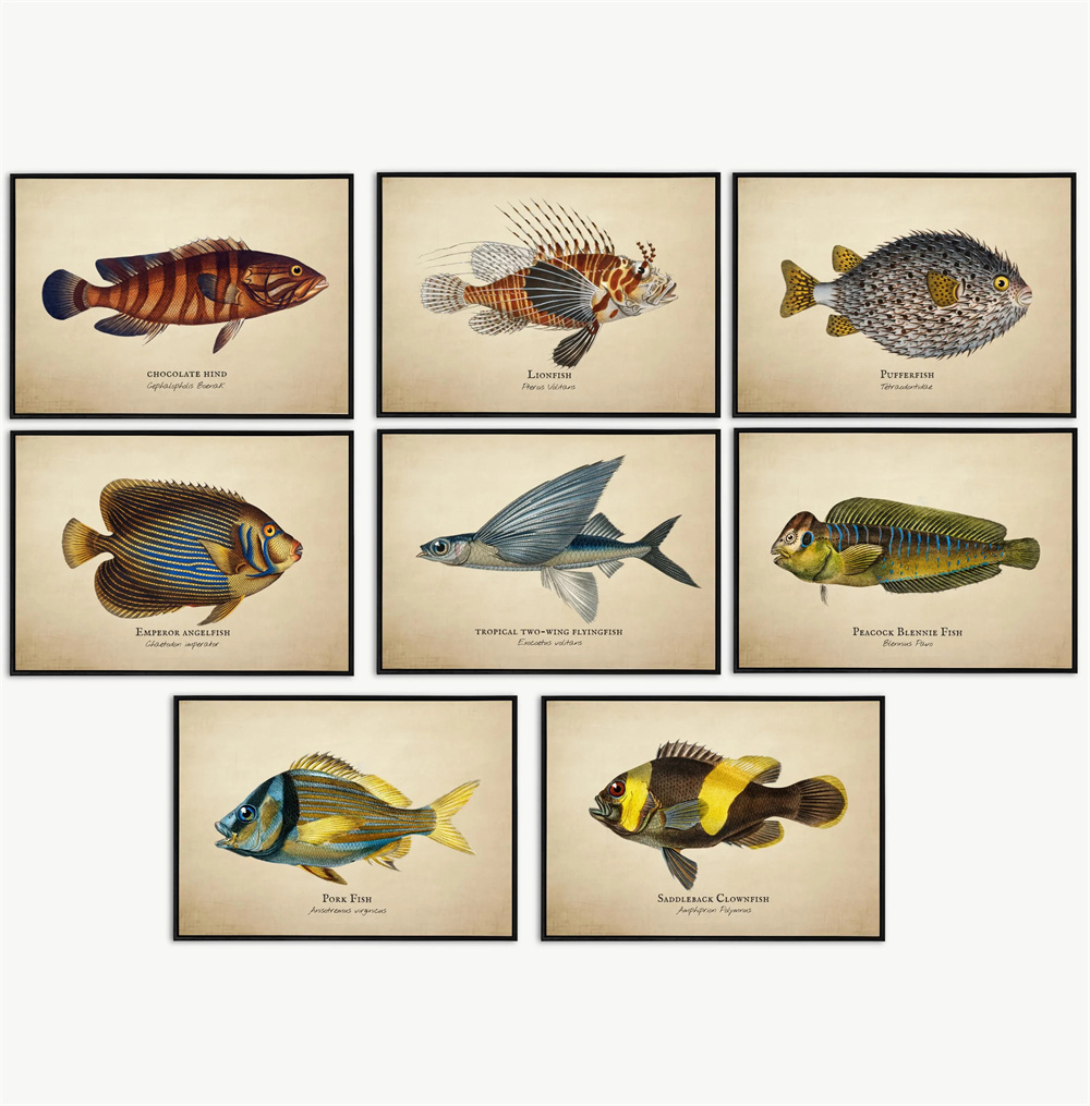 Fish In Aquarium Picture - صور خمر الأسماك الاستوائية قنديل البحر
