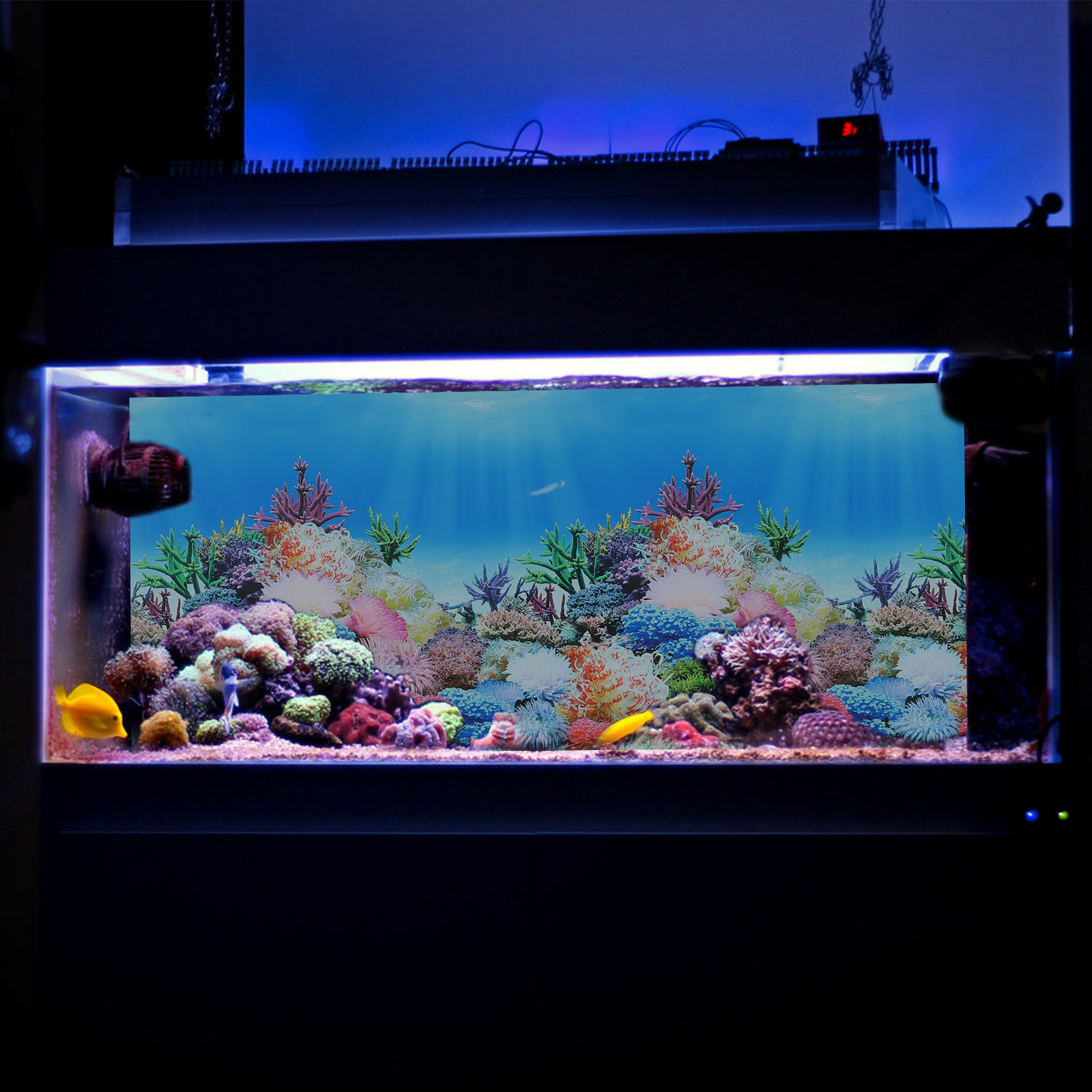 Fish In Aquarium Picture - خلفيات ورقية لتزيين أحواض السمك، فيلم