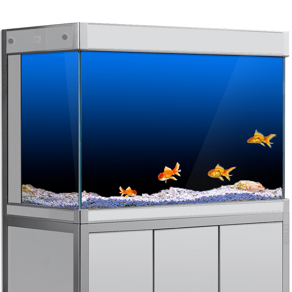 Aquarium Fish Green - ملصق خلفية لخزان الأسماك أسود أخضر