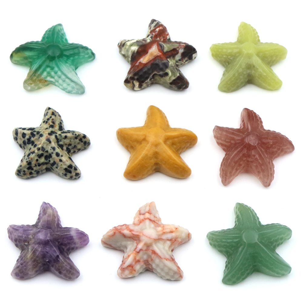 Aquarium Fish Usa - 35 مللي متر نجم البحر شكل