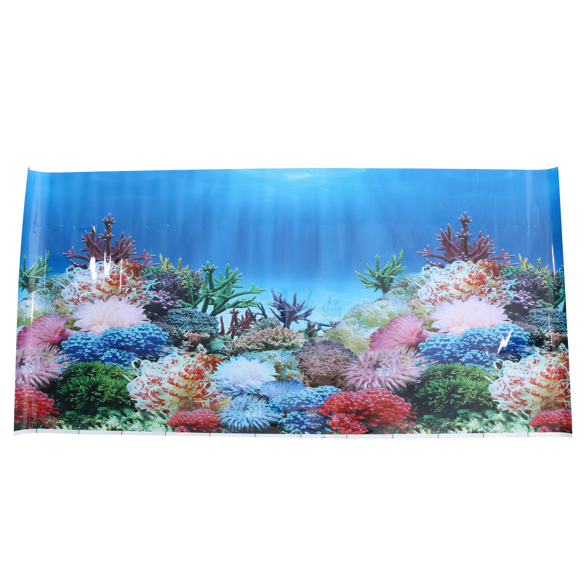 خلفية ثلاثية الأبعاد لحوض السم - مراجعة Fish In Aquarium Picture وسعره