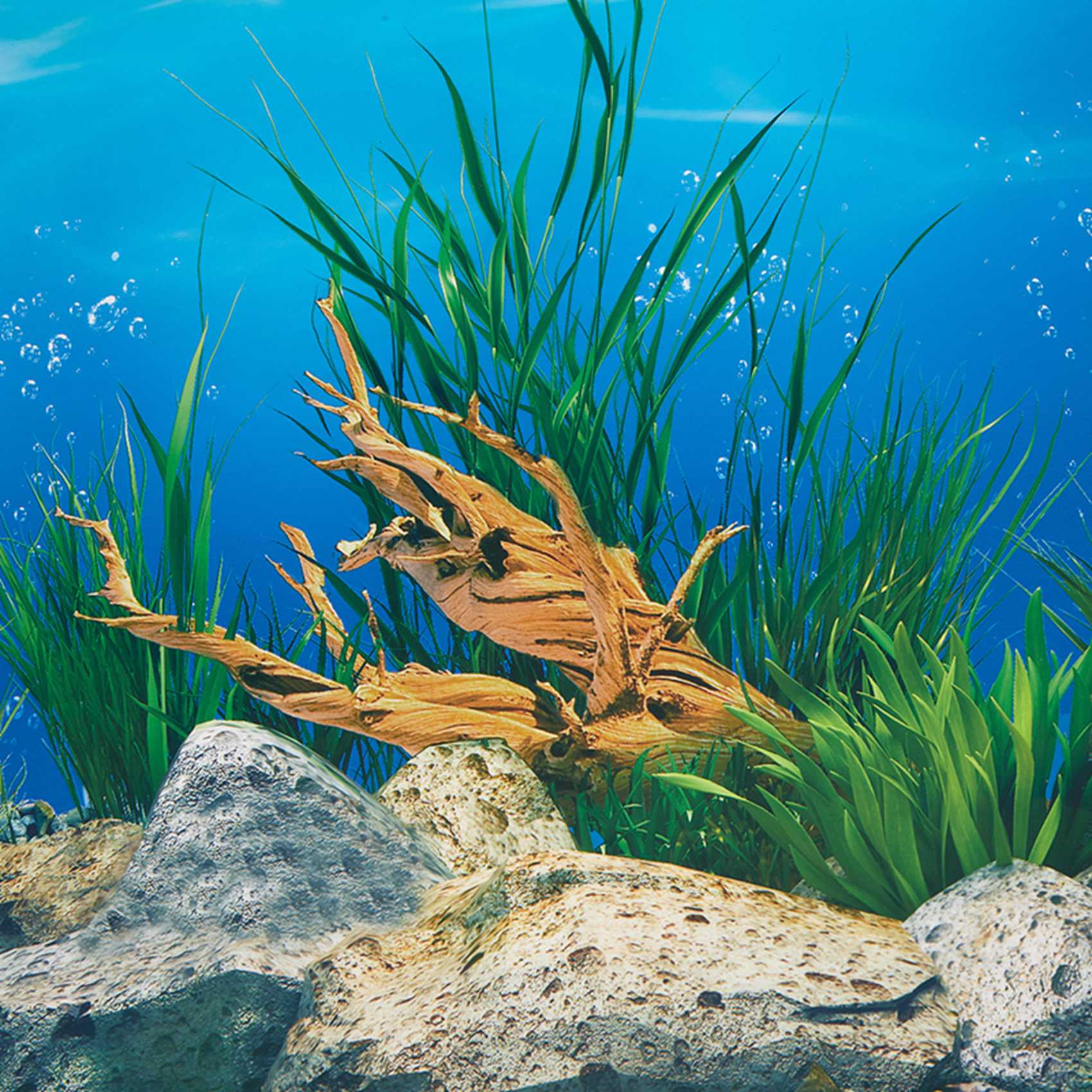 ورق خلفية للأحواض المائية ABWR - مراجعة Fish In Aquarium Picture وسعره