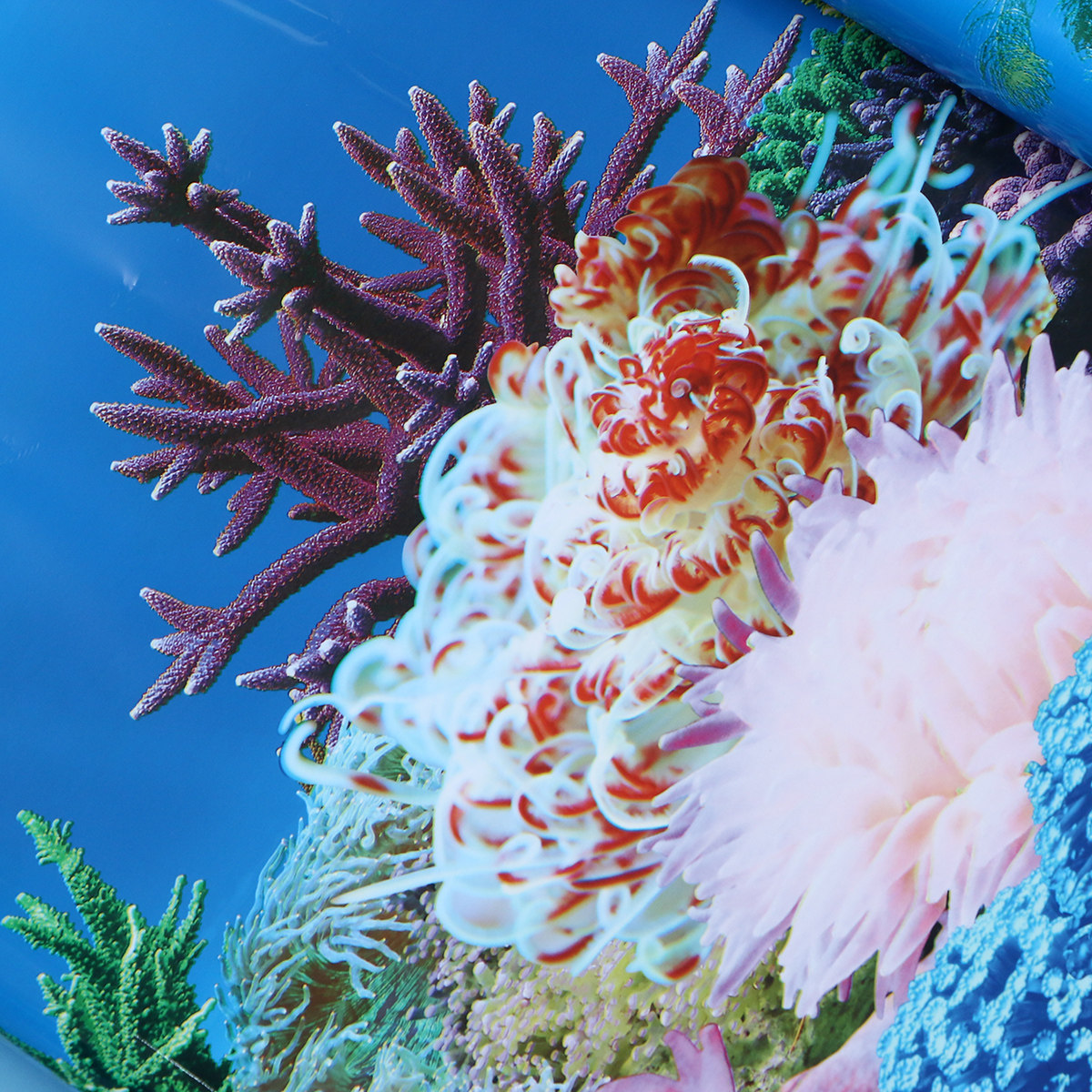 خلفيات ثلاثية الأبعاد لتزيين أ - مراجعة Fish In Aquarium Picture وسعره