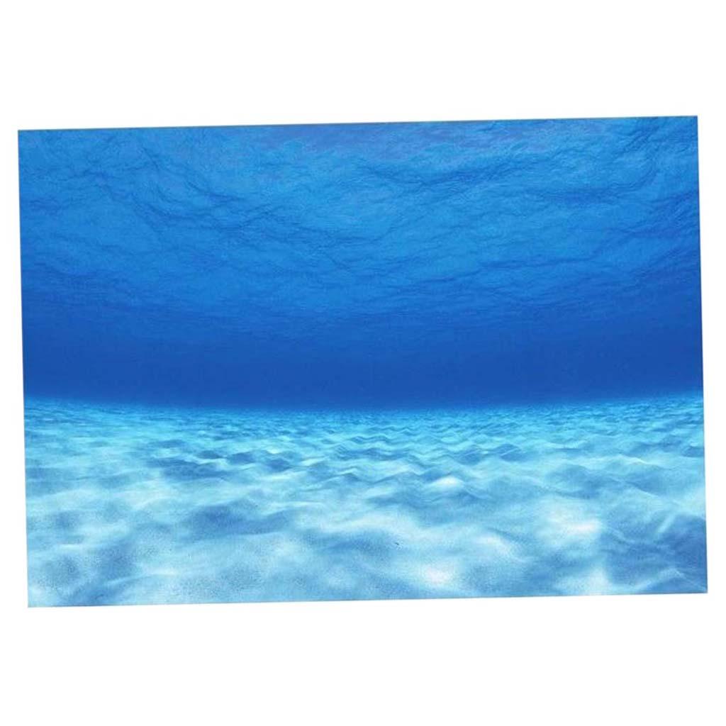 صورة ديكور خلفية حوض السمك ، خ - مراجعة Fish In Aquarium Picture وسعره