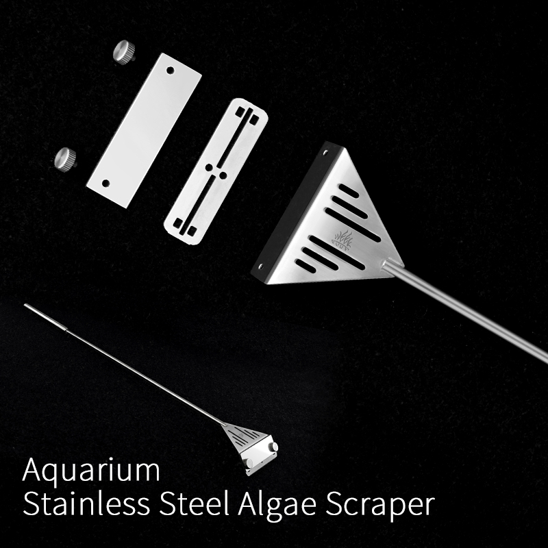 أسبوع أكوا الفولاذ المقاوم للص - مراجعة Algae Scraper Blade وسعره