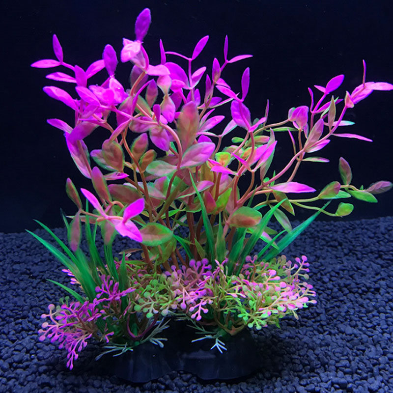 ديكور حوض السمك مجموعة متنوعة  - مراجعة Aquarium Fish Variety وسعره