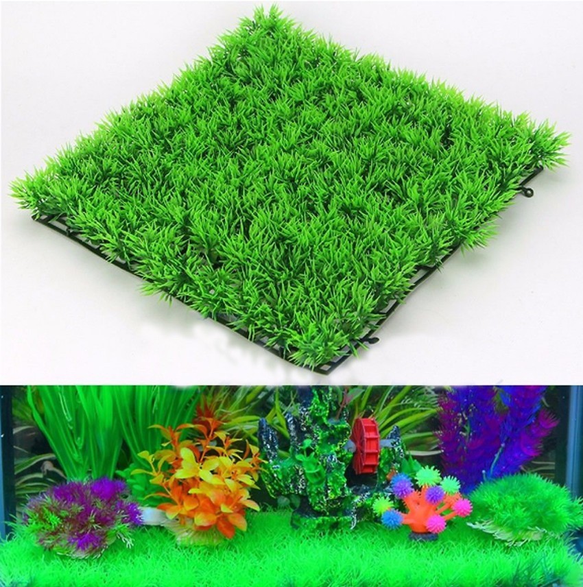 نبات العشب الأخضر الاصطناعي ال - مراجعة Aquarium Fish Green وسعره