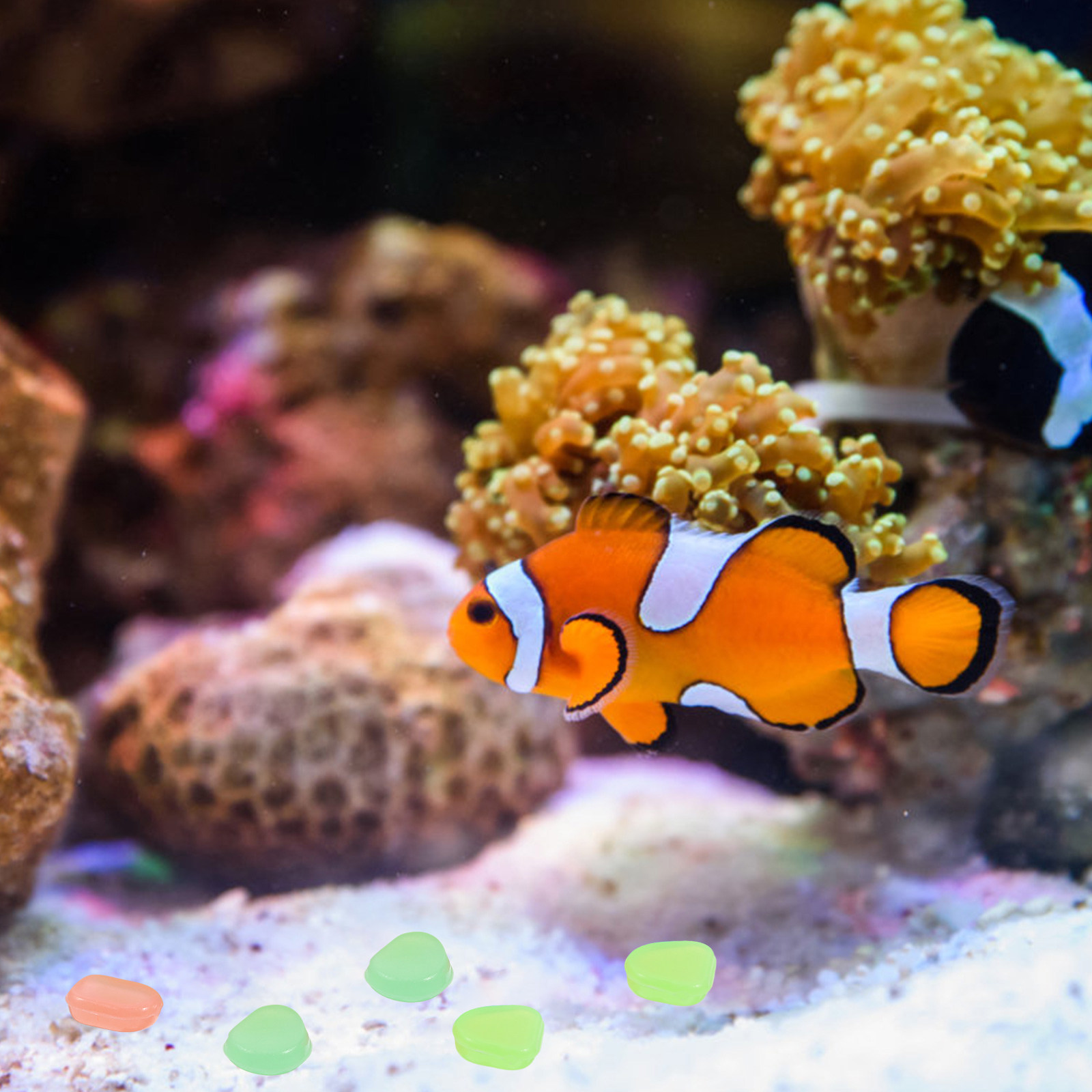 400 قطعة من الحصى المضيء الليل - مراجعة Aquarium Fish Glow In The Dark وسعره