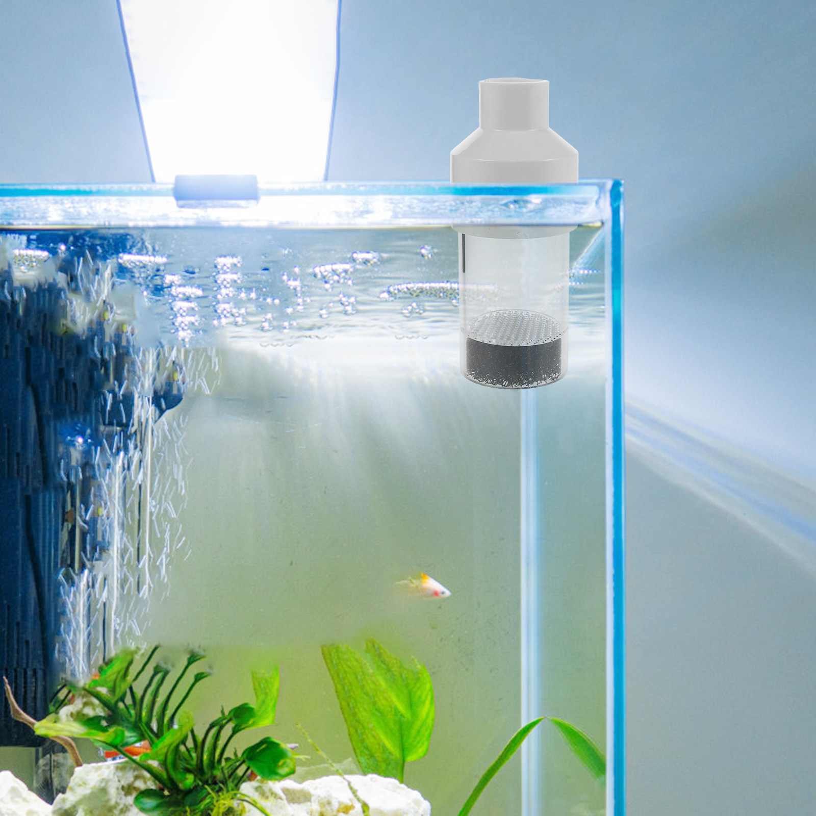 حاضنة تفريخ الأسماك 50 مم، أدا - مراجعة Aquarium Fish Usa وسعره