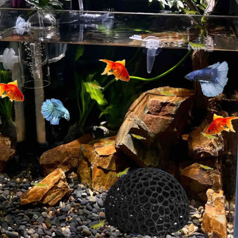 ركن كهف مأوى للأسماك لخزانات ا - مراجعة Aquarium Fish Beautiful وسعره