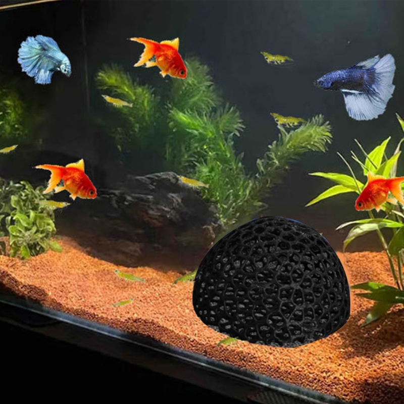 ركن كهف مأوى للأسماك لخزانات ا - مراجعة Aquarium Fish Beautiful وسعره