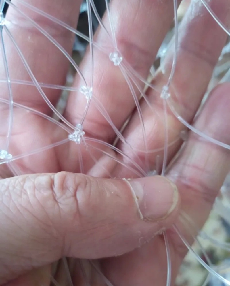 53/60/85 سنتيمتر خط مزدوج الصي - مراجعة Fish Net Handle وسعره