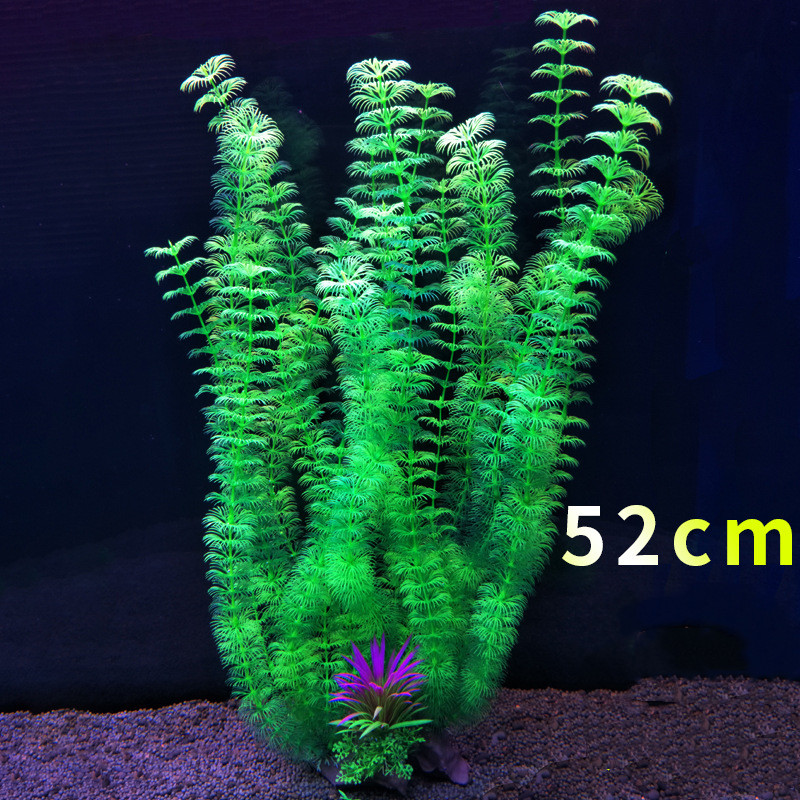 52 سم خزان الأسماك الاصطناعي ن - مراجعة Aquarium Fish Beautiful وسعره
