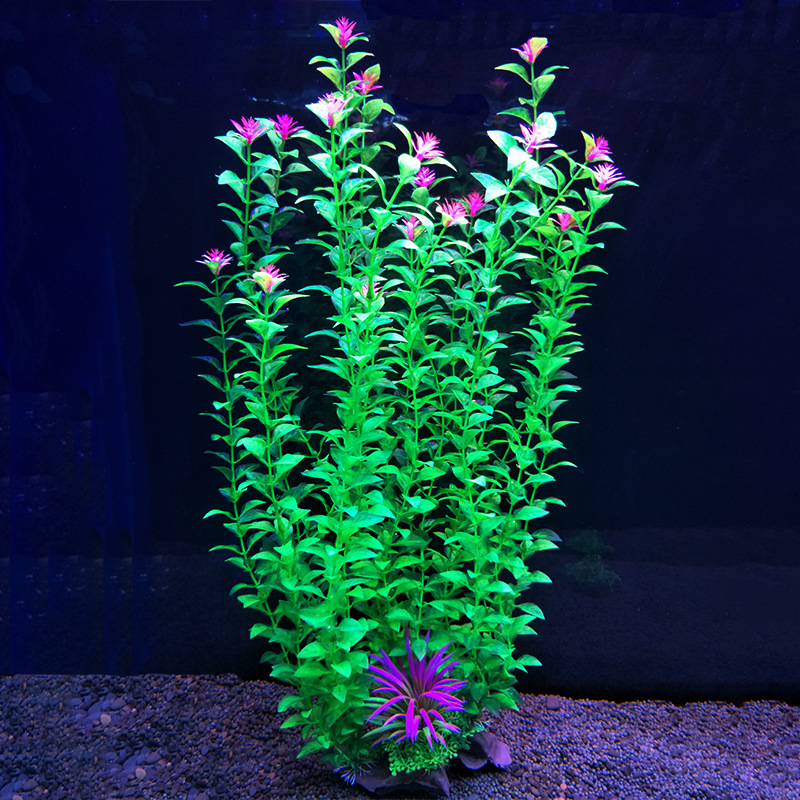 52 سم خزان الأسماك الاصطناعي ن - مراجعة Aquarium Fish Beautiful وسعره