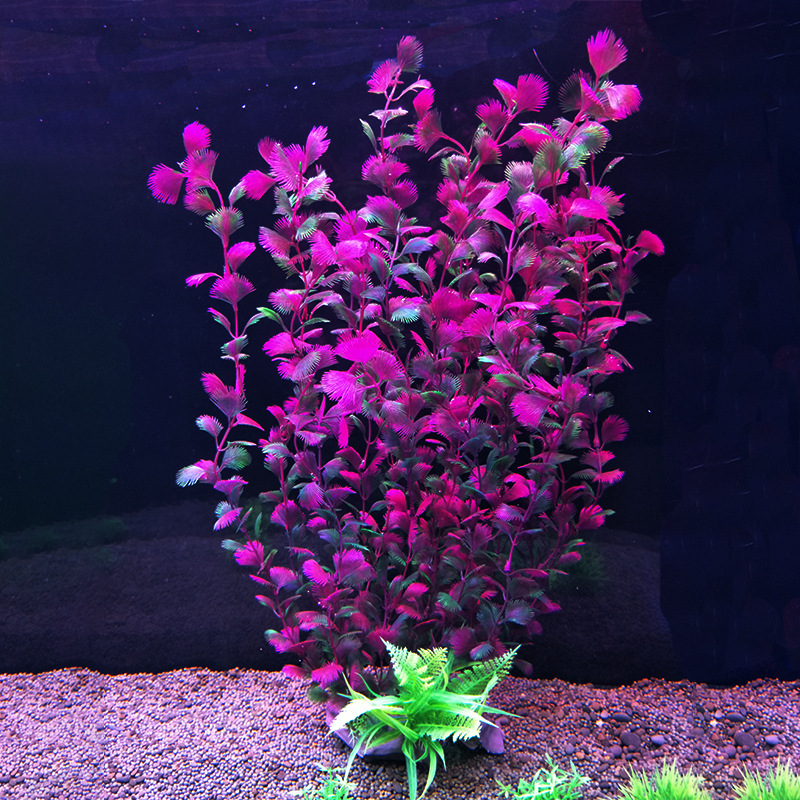 52 سم خزان الأسماك الاصطناعي ن - مراجعة Aquarium Fish Beautiful وسعره