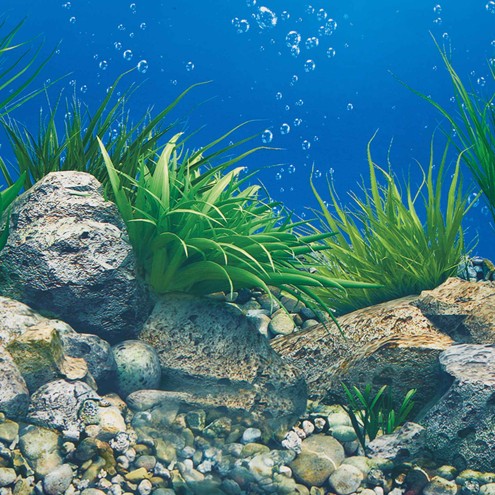 A77I حوض السمك ورق خلفية HD صو - مراجعة Fish In Aquarium Picture وسعره