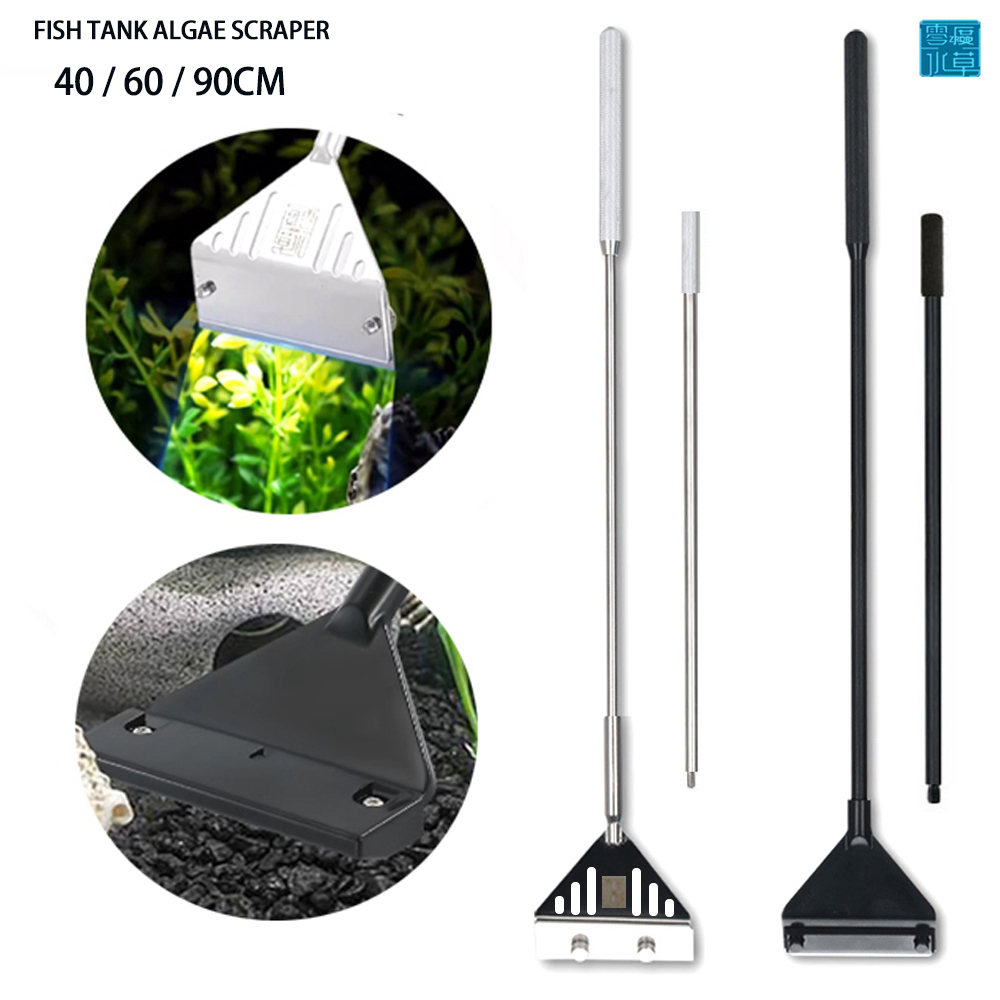 مكشطة إزالة الطحالب من الفولاذ - مراجعة Algae Scraper Blade وسعره