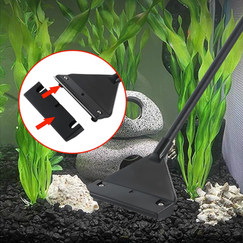 مكشطة إزالة الطحالب من الفولاذ - مراجعة Algae Scraper Blade وسعره