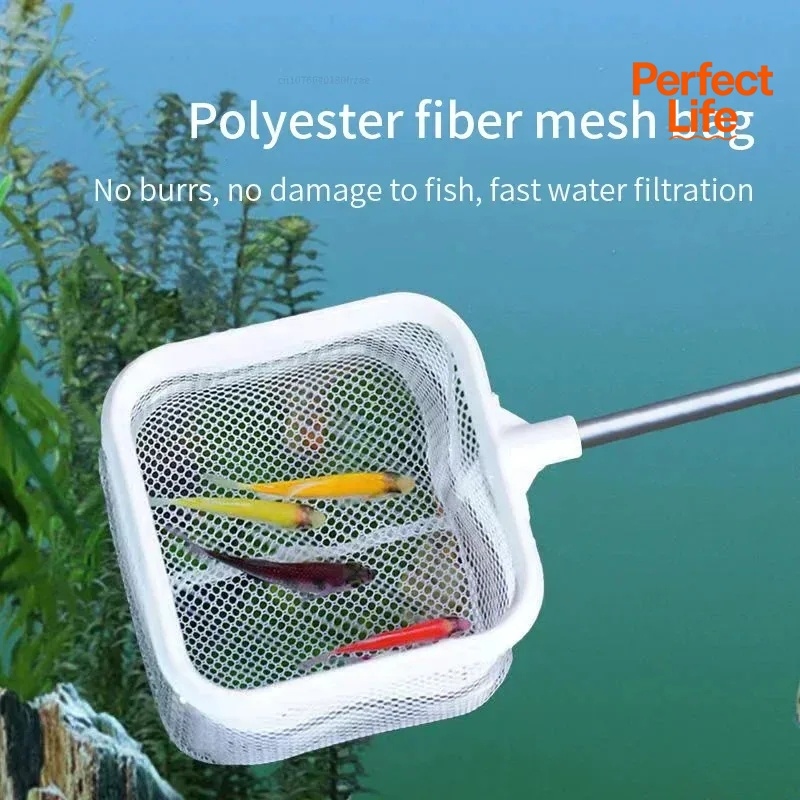 1-2 قطعة شبكة صيد من الفولاذ ا - مراجعة Aquarium Fish Trap وسعره