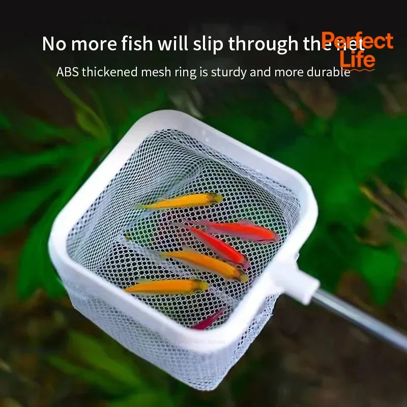 1-2 قطعة شبكة صيد من الفولاذ ا - مراجعة Aquarium Fish Trap وسعره