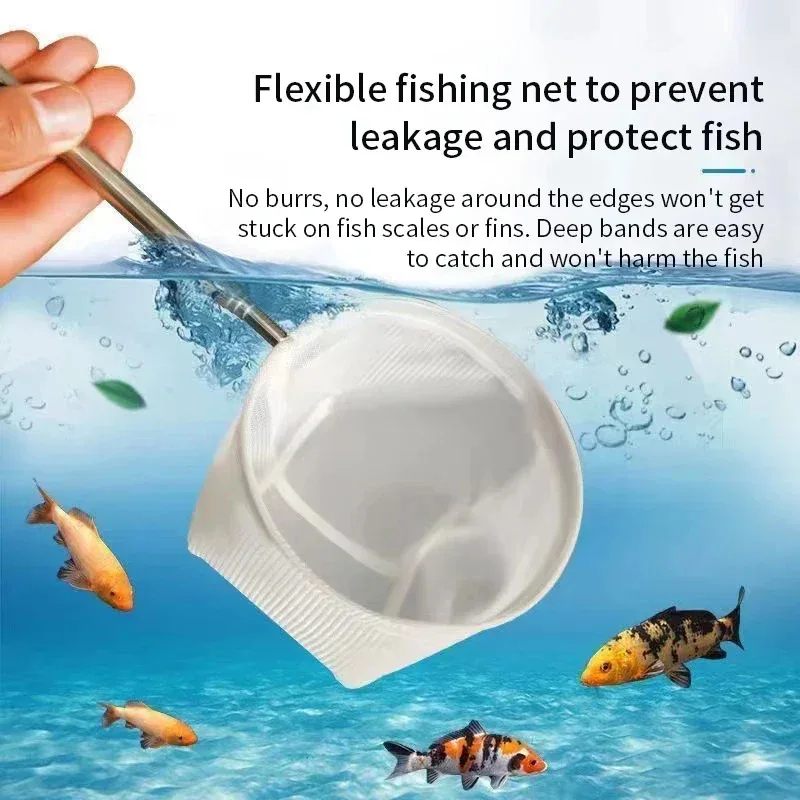 1-2 قطعة شبكة صيد من الفولاذ ا - مراجعة Aquarium Fish Trap وسعره