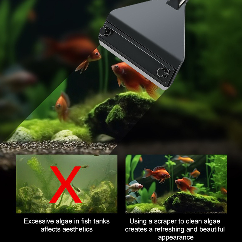 حوض السمك الطحالب مزيل سبائك ا - مراجعة Algae Scraper Blade وسعره