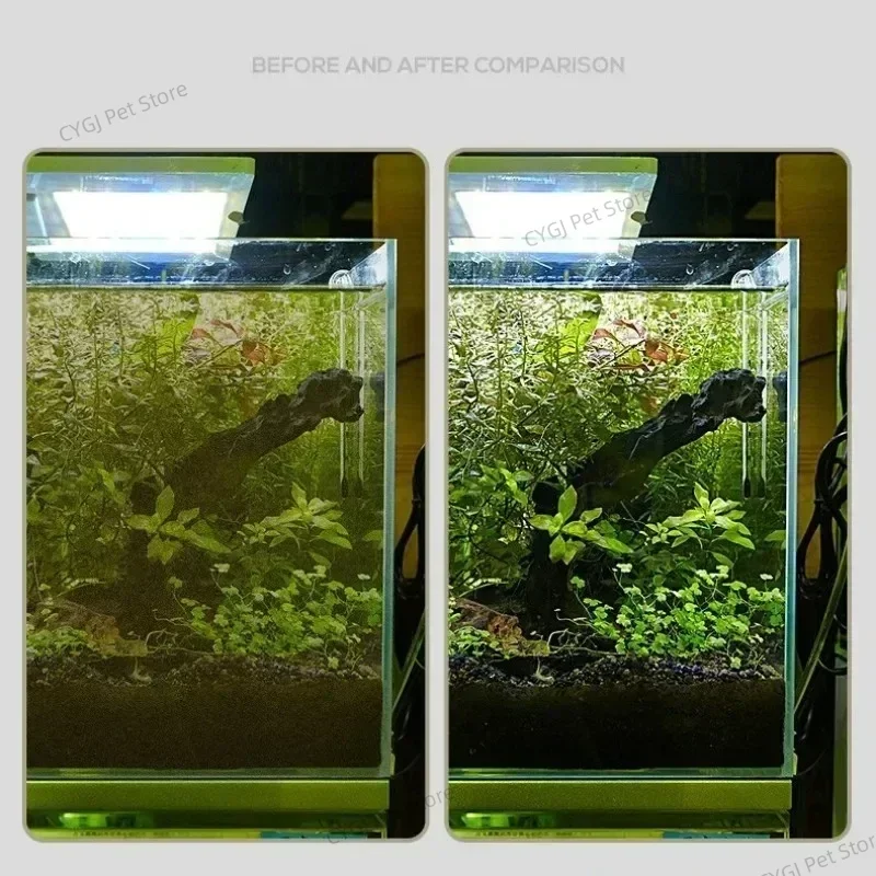 أداة تنظيف خزان الأسماك إزالة  - مراجعة Algae Scraper Blade وسعره