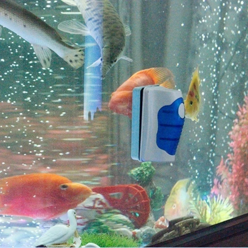 منظف مكشطة زجاجية لخزان الأسما - مراجعة Aquarium Fish Marine وسعره