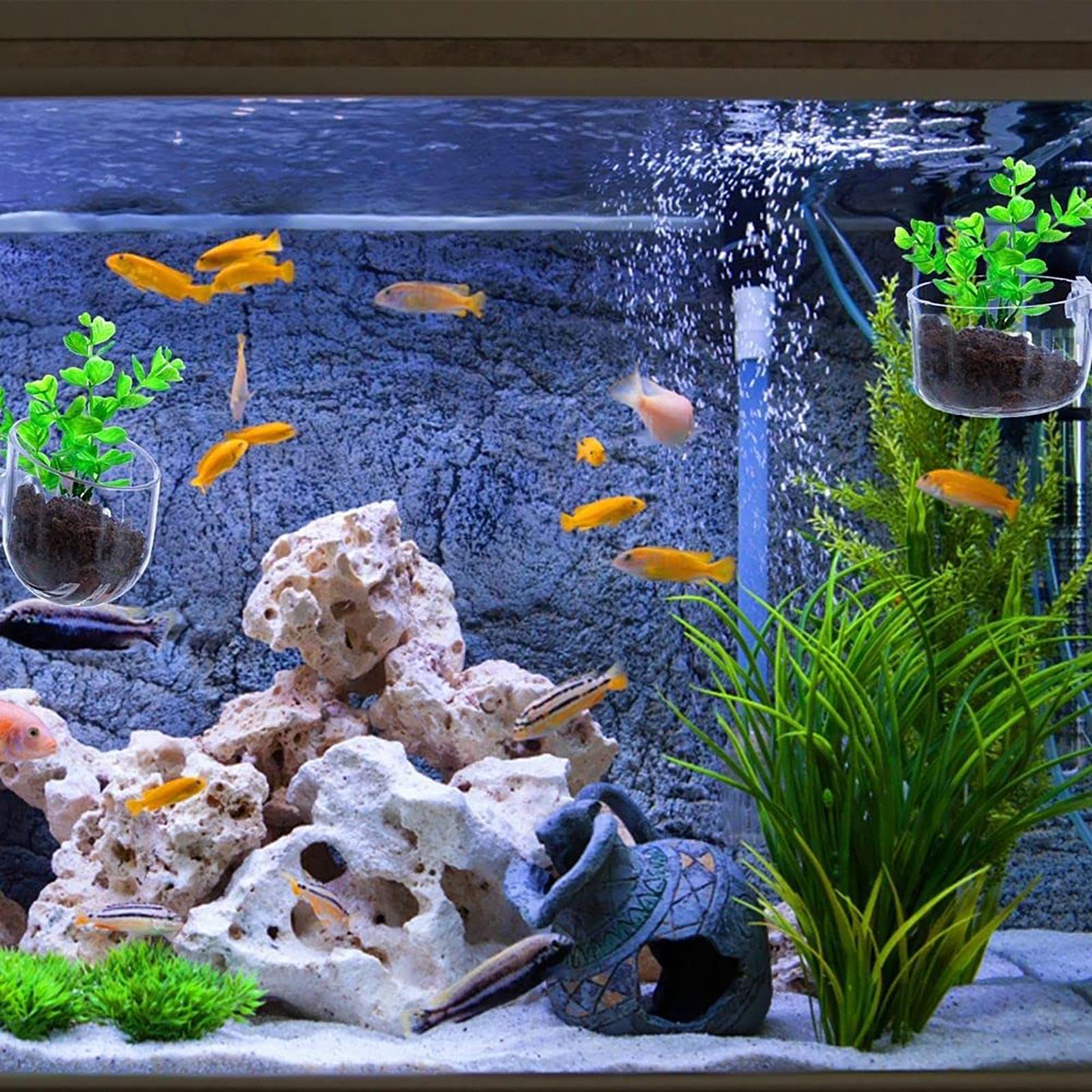 أواني نباتات الأحواض المائية م - مراجعة Aquarium Fish Beautiful وسعره
