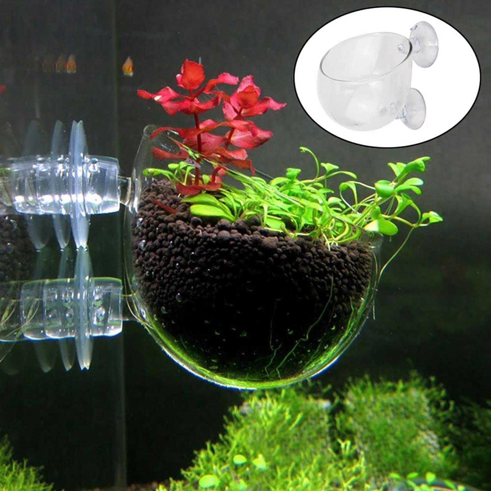 أواني نباتات الأحواض المائية م - مراجعة Aquarium Fish Beautiful وسعره