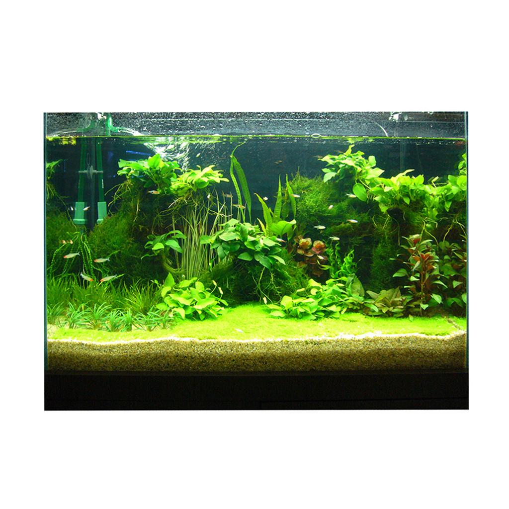 ملصق خلفية ثلاثي الأبعاد لحوض  - مراجعة Fish In Aquarium Picture وسعره