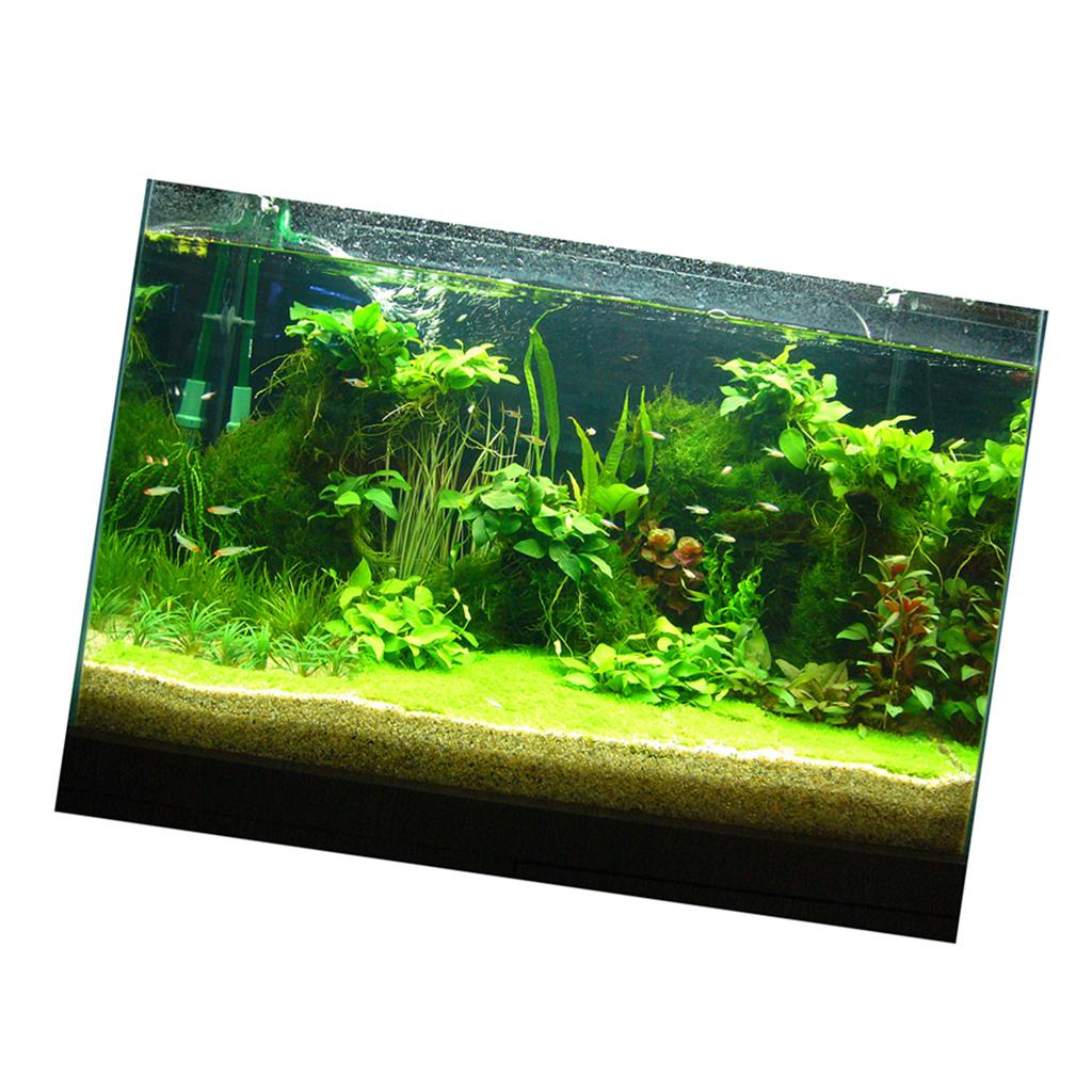 ملصق خلفية ثلاثي الأبعاد لحوض  - مراجعة Fish In Aquarium Picture وسعره
