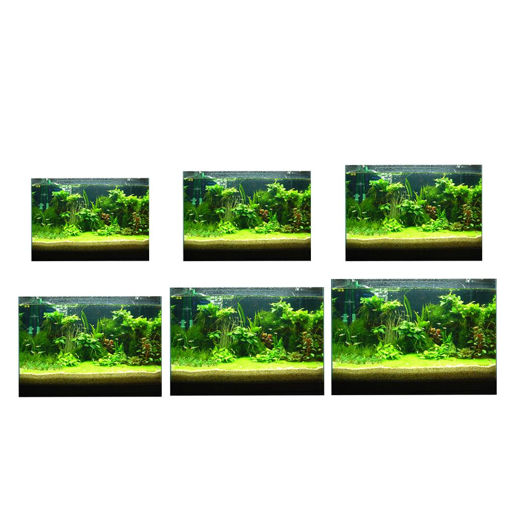 ملصق خلفية ثلاثي الأبعاد لحوض  - مراجعة Fish In Aquarium Picture وسعره