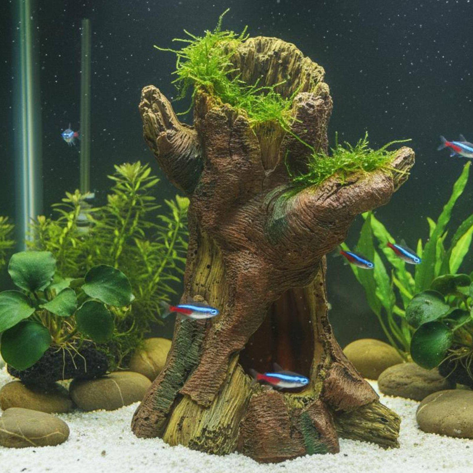 ديكور حوض السمك، زينة لتنسيق ا - مراجعة Aquarium Fish Usa وسعره