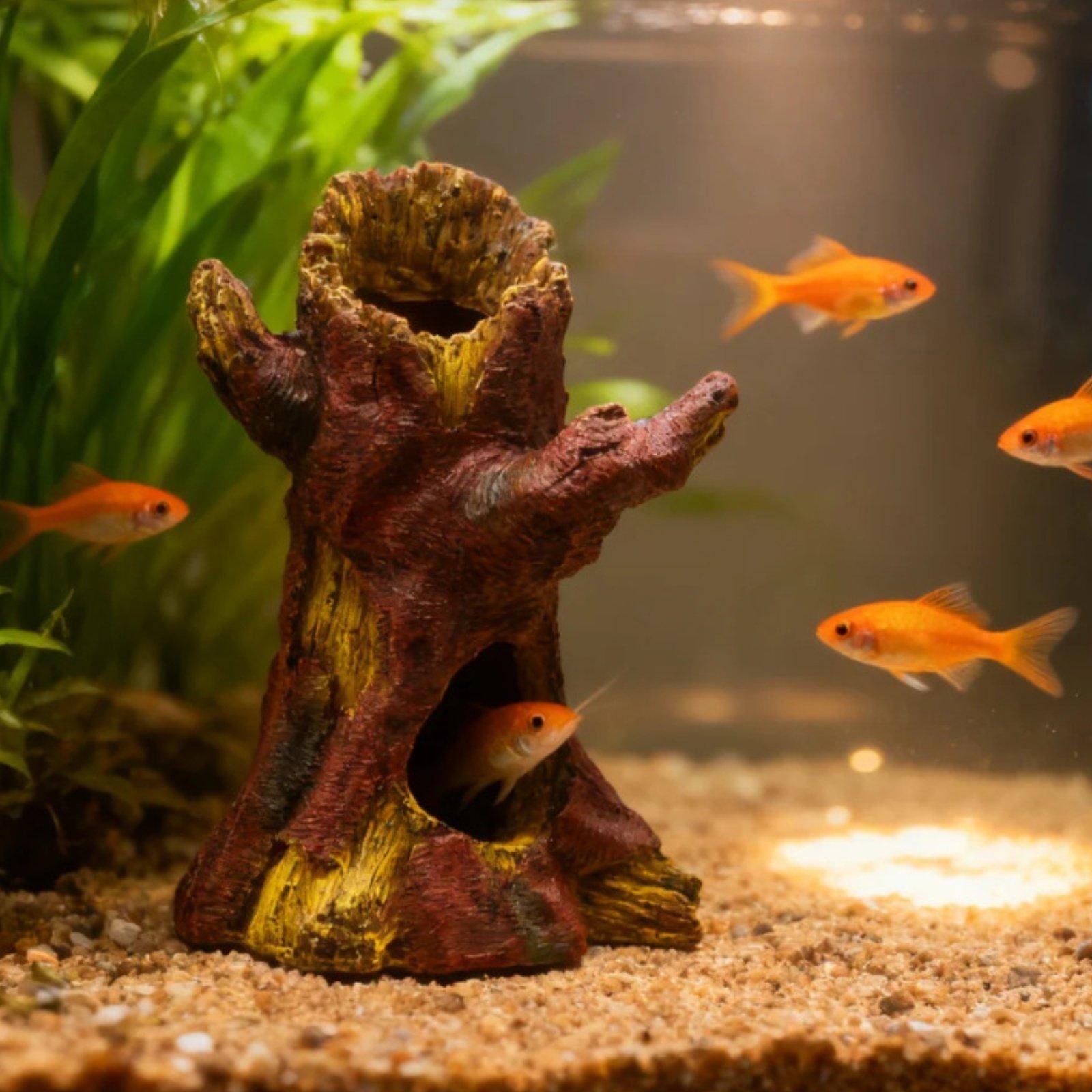 ديكور حوض السمك، زينة لتنسيق ا - مراجعة Aquarium Fish Usa وسعره