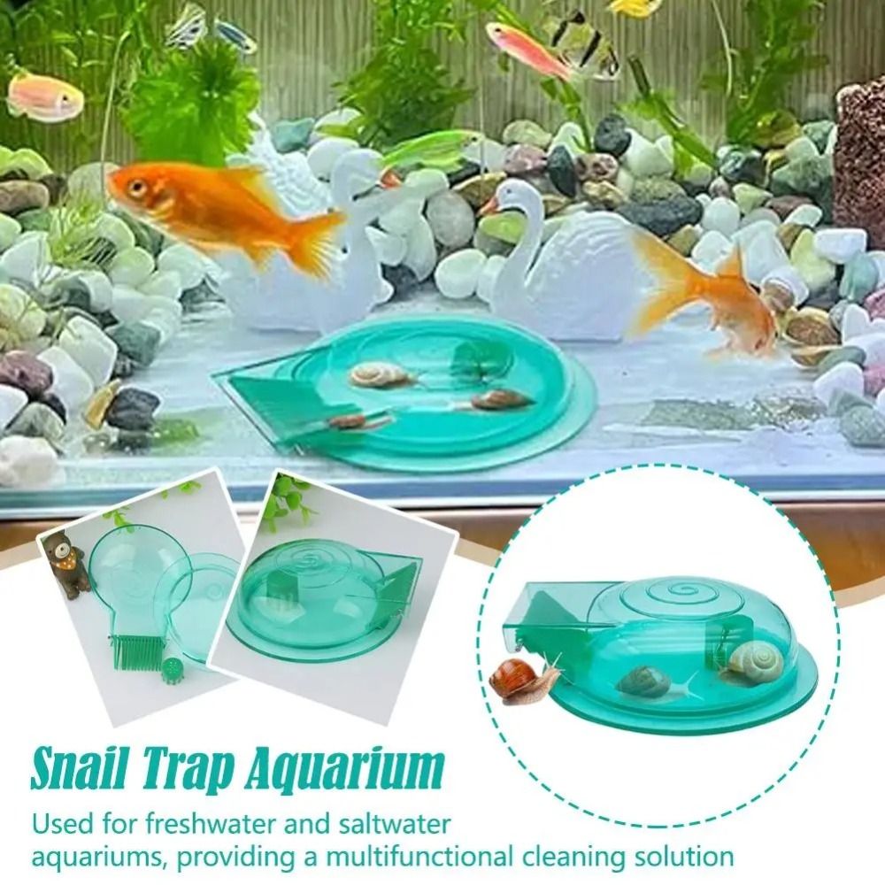 مصيدة حلزونات لأحواض المياه ال - مراجعة Aquarium Fish Trap وسعره