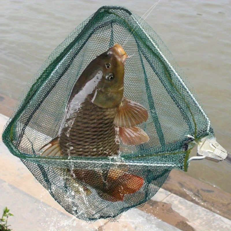 شبكة صيد سمك قابلة للطي مثلثة  - مراجعة Fish Net Handle وسعره