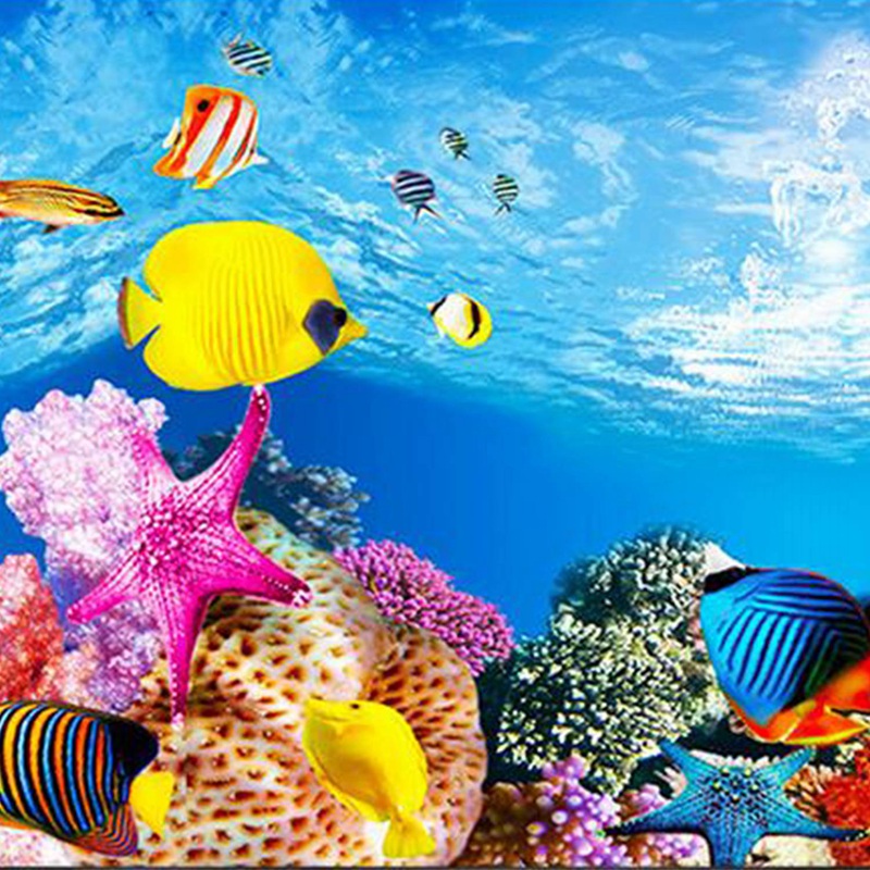 BAAU حوض السمك ورق خلفية HD صو - مراجعة Fish In Aquarium Picture وسعره
