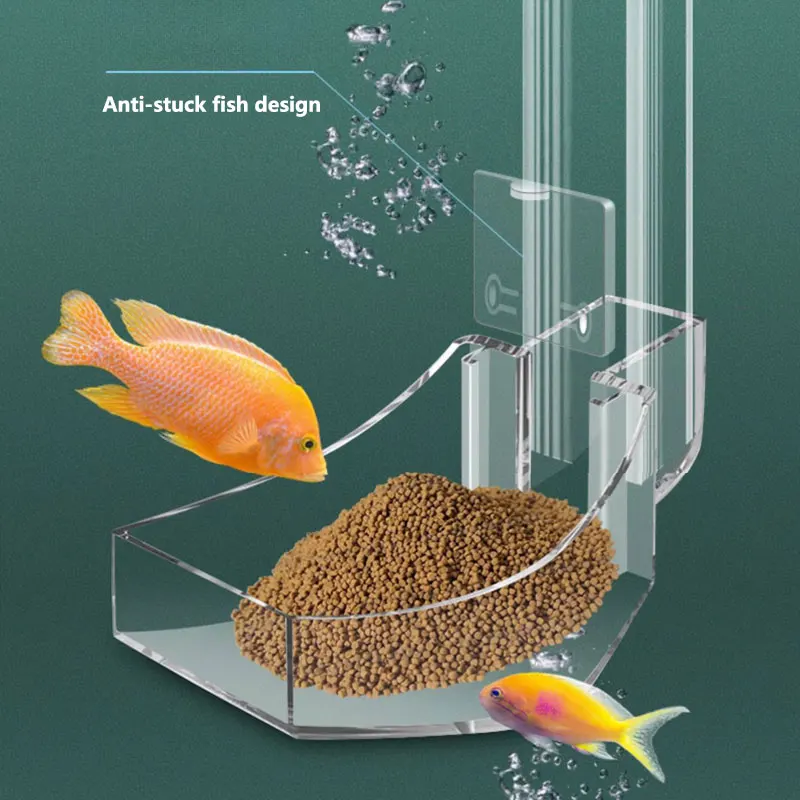 أنبوب تغذية أكريليك لحوض السمك - مراجعة Aquarium Fish Variety وسعره