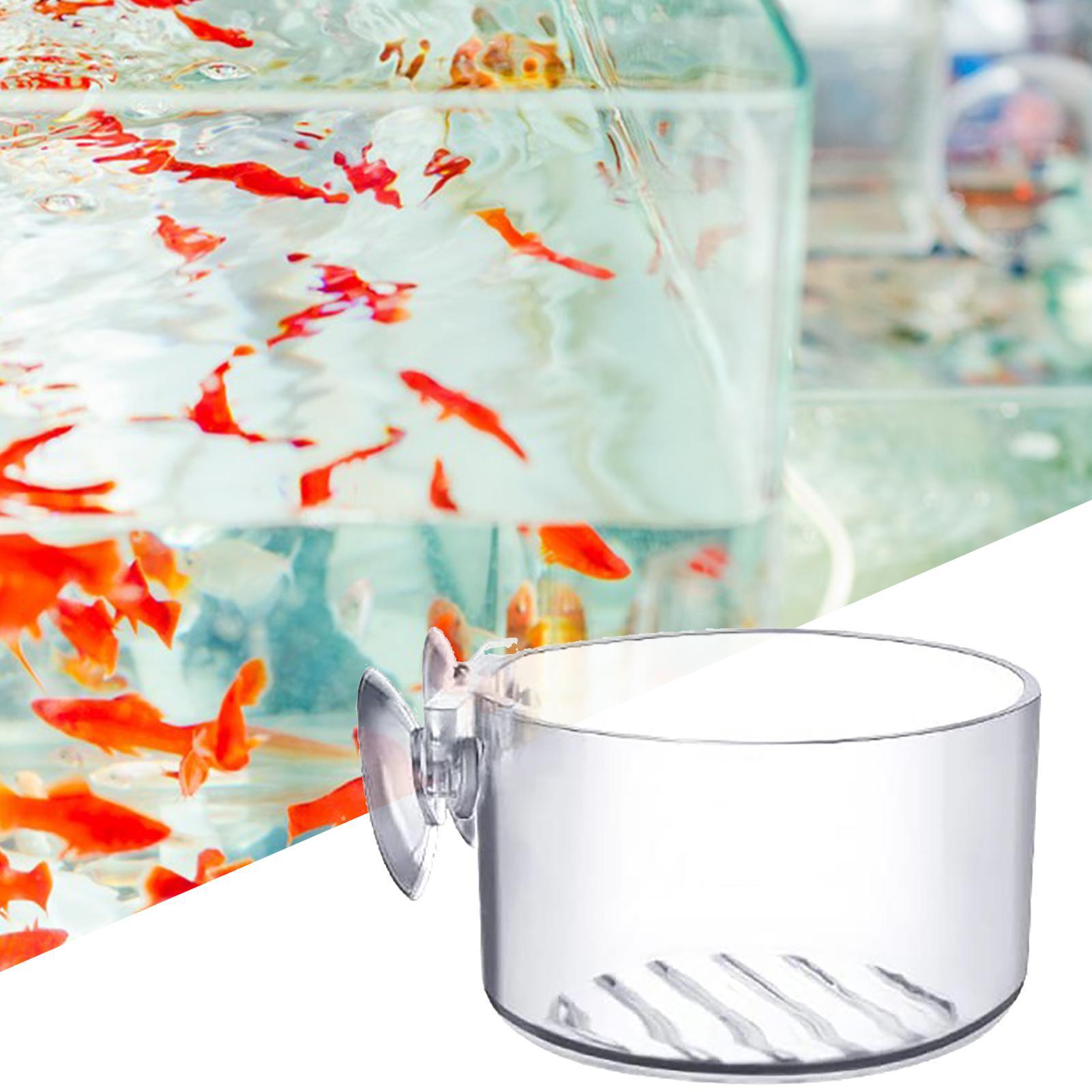 حامل نباتات الأحواض المائية با - مراجعة Aquarium Fish Beautiful وسعره