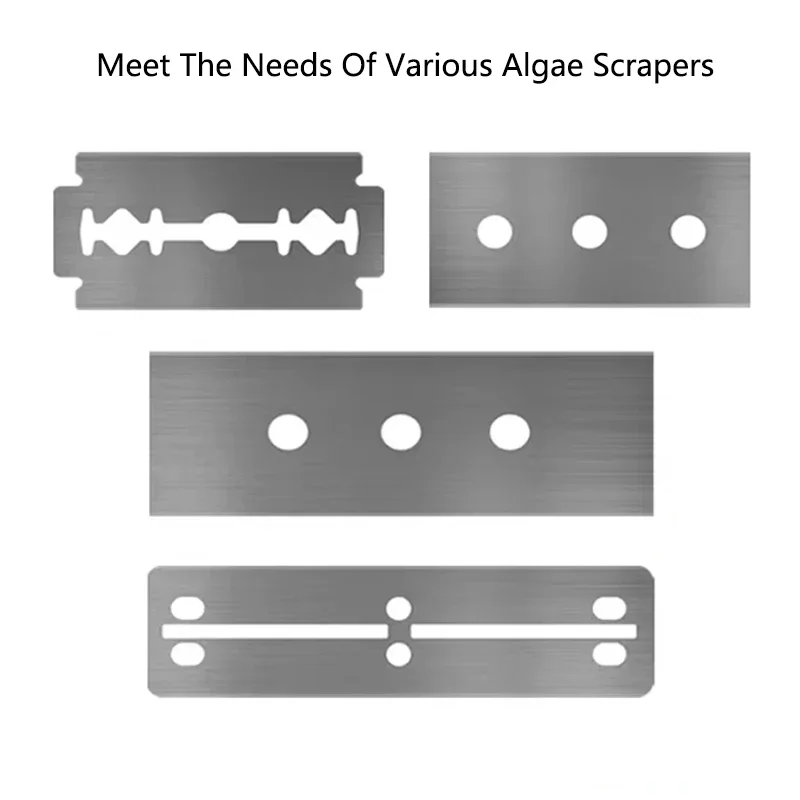 10 قطعة حوض السمك الطحالب مزيل - مراجعة Algae Scraper Blade وسعره