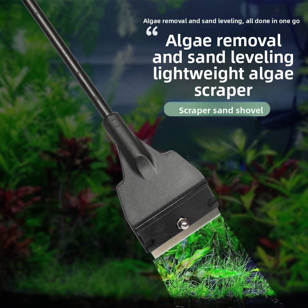 أداة تنظيف الزجاج ومقشرة الطحا - مراجعة Algae Scraper Blade وسعره