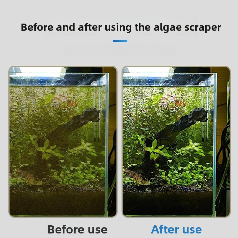 أداة تنظيف الزجاج ومقشرة الطحا - مراجعة Algae Scraper Blade وسعره