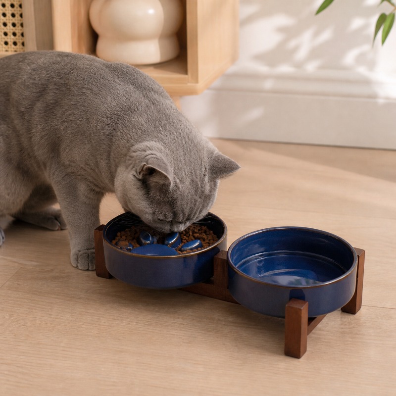 وعاء طعام للقطط والكلاب الصغير - مراجعة Royal Canin Food Medium وسعره