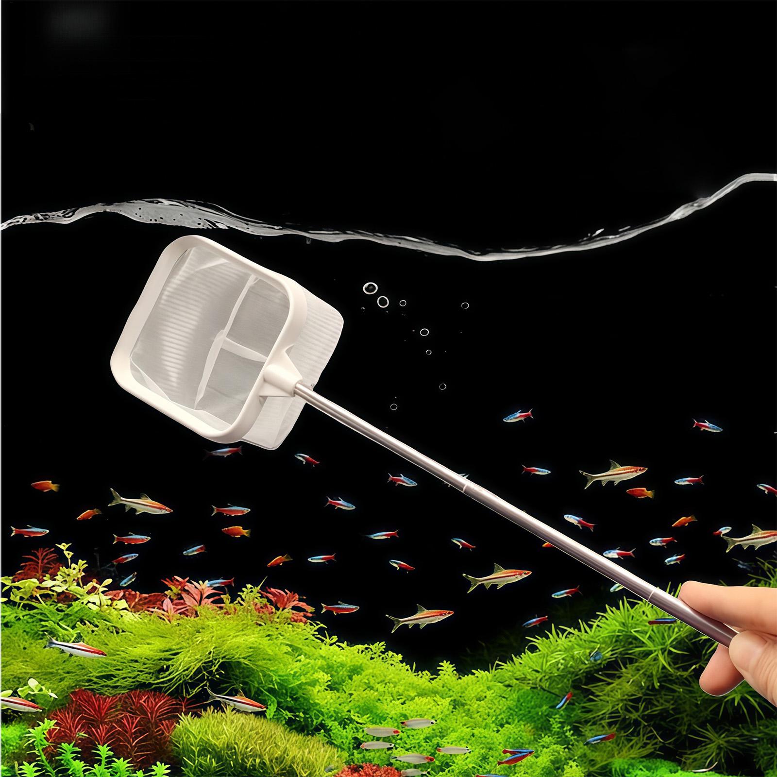 أداة تنظيف مياه خارجية بمقبض ط - مراجعة Fish Net Handle وسعره